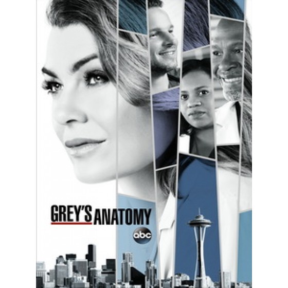 [英] 實習醫生 第十四季 (Grey's Anatomy S14) (2017) [Disc *3]