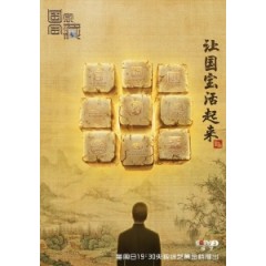 [中] 國家寶藏 第一季（National Treasre S01)