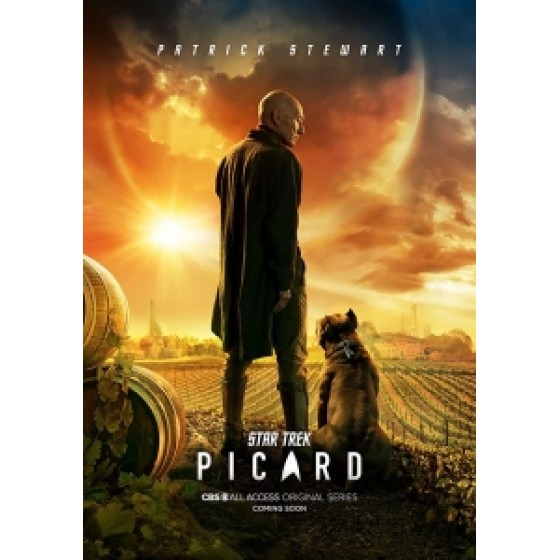 [英] 星際爭霸戰 畢凱 第一季 (Star Trek Picard S01) (2020) [台版字幕]