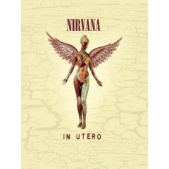 超脫樂團(Nirvana) - In Utero 純音樂藍光