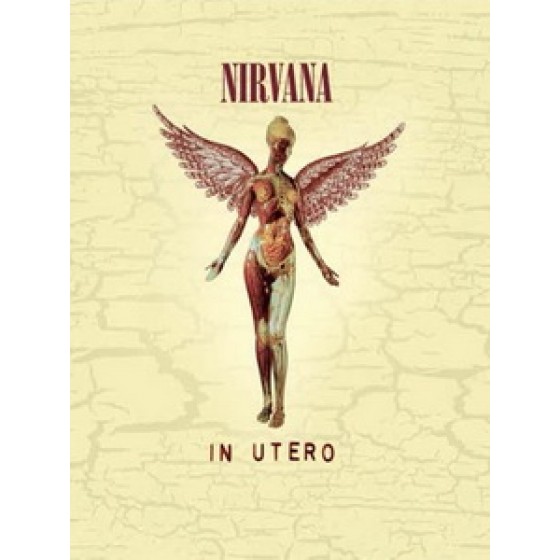 超脫樂團(Nirvana) - In Utero 純音樂藍光