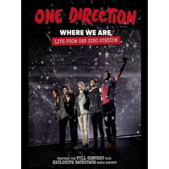 1世代(One Direction) - Where We Are Tour Live from San Siro Stadium 演唱會