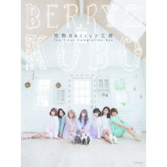 Berryz工房 - 完熟Berryz工房 The Final Completion Box [Disc *2]