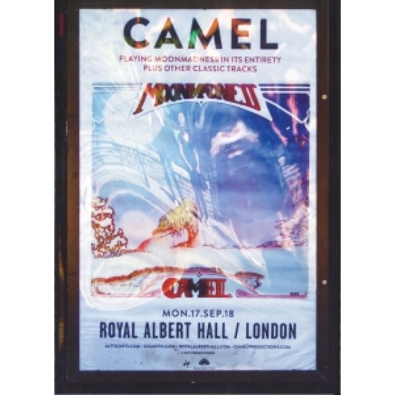 Camel - Live at The Royal Albert Hall