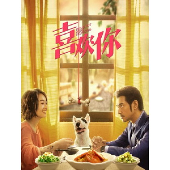 [中] 喜歡你 (This is Not What I Expected) (2017)[搶鮮版]