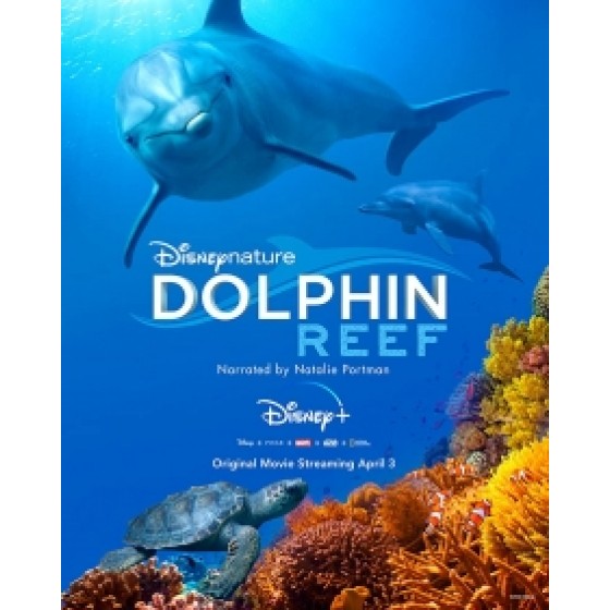 [英] 海豚礁 Dolphin Reef (2020) [搶鮮版]