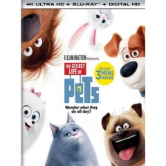 UHD4K [英] 寵物當家 (The Secret Life of Pets) (2016)[台版]