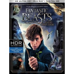 UHD4K [英] 怪獸與牠們的產地 (Fantastic Beasts and Where to Find Them) (2016)[台版]