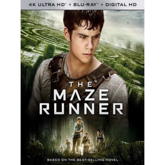 UHD4K [英] 移動迷宮 (The Maze Runner) (2014)[台版字幕]