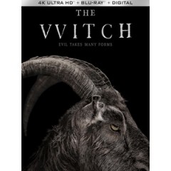 UHD4K [英] 女巫 (The Witch) (2015)[台版字幕]