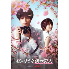 [日]我的櫻花戀人/桜のような僕の戀人/Love Like the Falling Petals (2022)