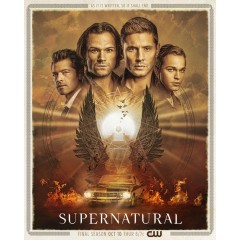 [英] 邪惡力量 第十五季 Supernatural Season 15 (2019)[Disc *2]