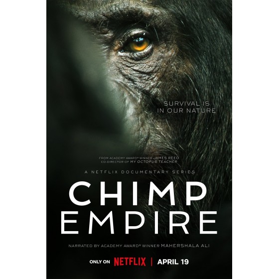 [英] 黑猩猩帝國 Chimp Empire (2023)