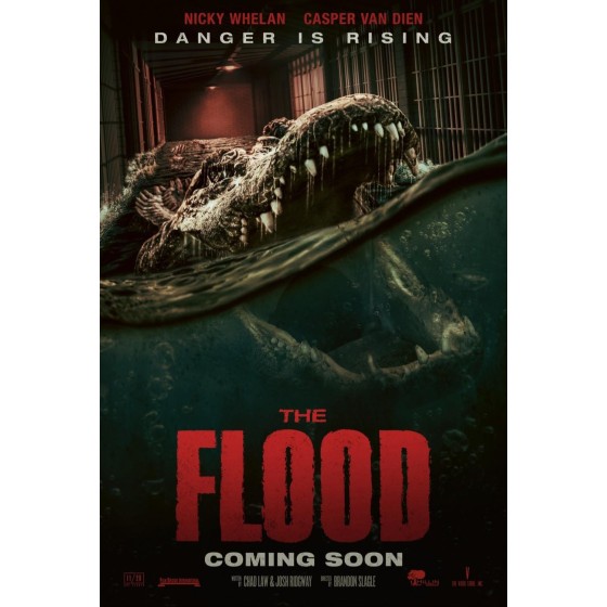 [英] 致命洪災 The Flood (2023)