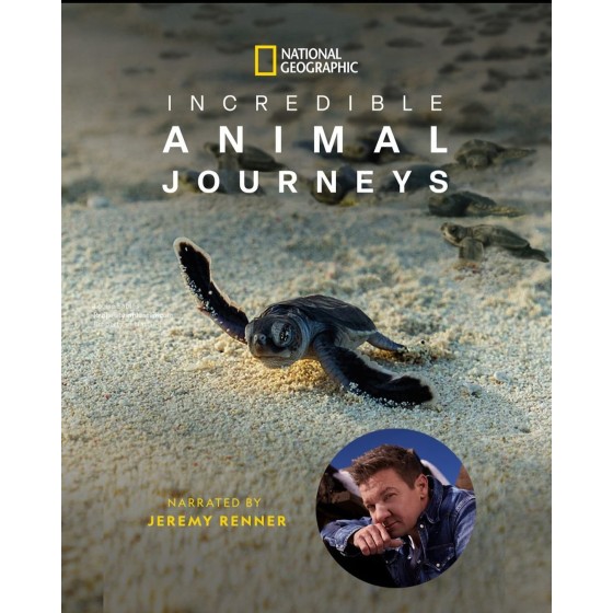 [英] 不可思議的動物之旅 Incredible Animal Journeys (2023) [Disc *2]