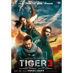 [印] 猛虎3 Tiger 3 (2023)