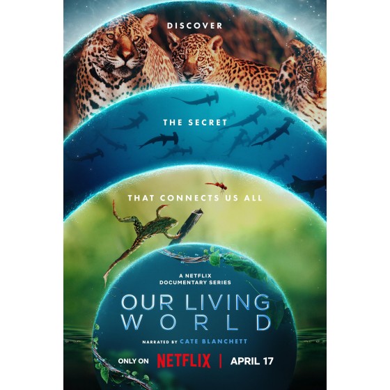 [英] 我們的生物世界 Our Living World (2024)