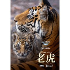 [英] 老虎(2024年美國最新上映一部關於印度孟加拉虎的紀錄片） Tiger (2024)