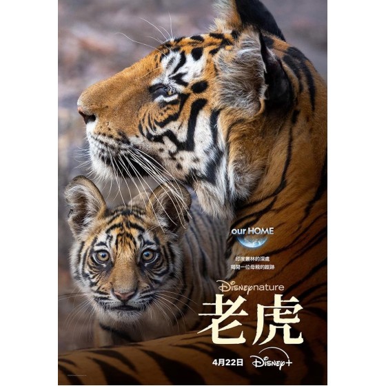 [英] 老虎(2024年美國最新上映一部關於印度孟加拉虎的紀錄片） Tiger (2024)