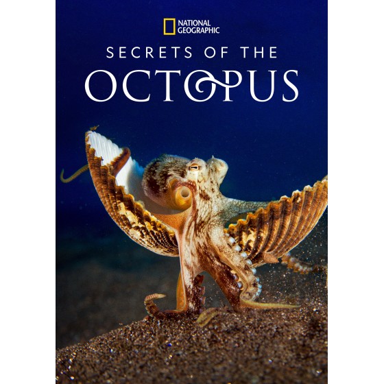 [英] 章魚的秘密 / 章魚之謎 Secrets of the Octopus (2024)