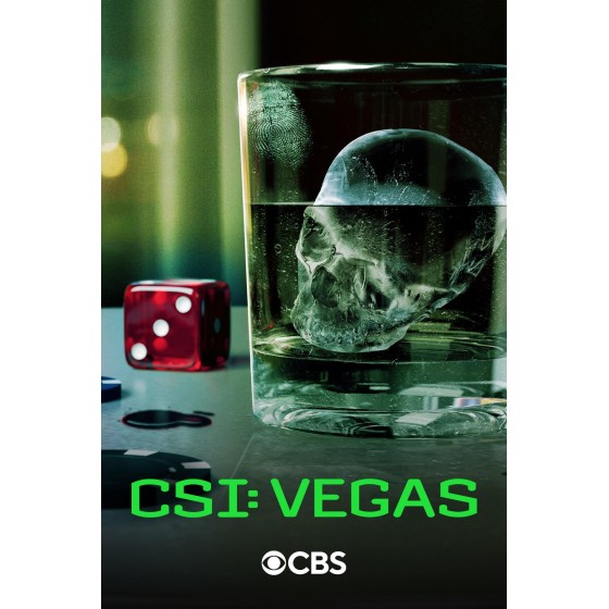 [英] 犯罪現場調查：維加斯 第三季 CSI: Vegas Season 3 (2024)[Disc *2]