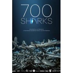 [法] 鯊魚探秘 700 requins dans la nuit (2019)