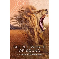 [英] 大衛·艾登堡：大自然的聲音 Secret World of Sound with David Attenborough (2024)