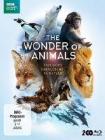 神奇動物大揭秘 (The Wonder of Animals)