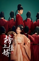 [中] 榜上佳婿 (2025)[Disc *4]