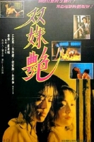 [港] 雙姝艷 (1995)